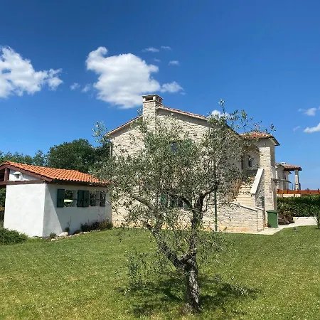 Holiday home Dracena Mit Privatem Saltwater Pool Visnjan