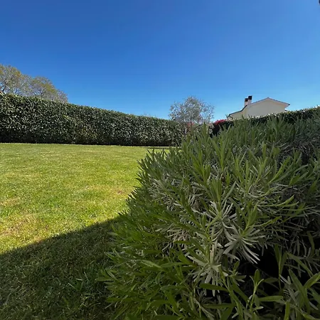 Holiday home Dracena Mit Privatem Saltwater Pool Visnjan